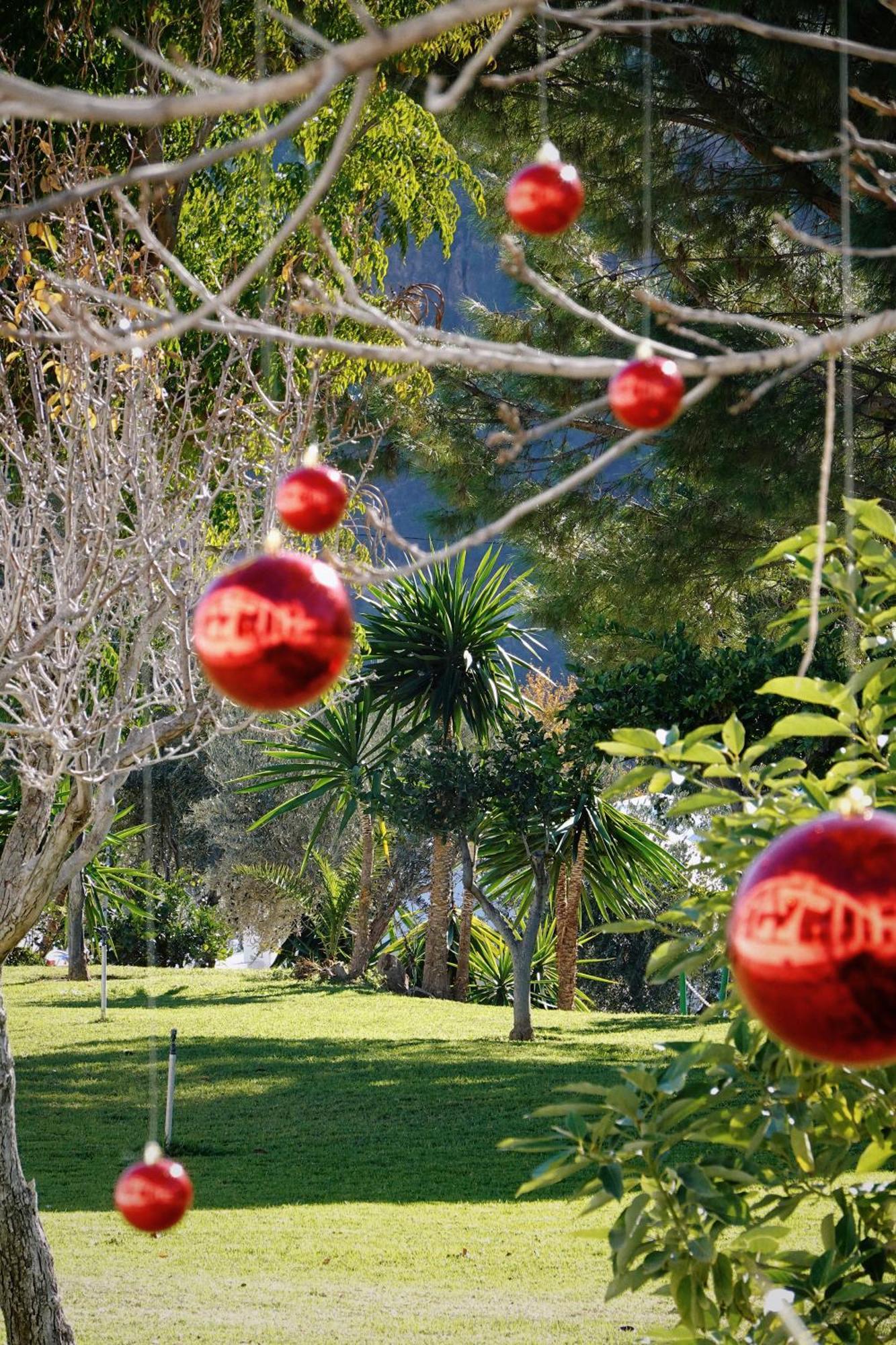 Hotel Taray Botanico Órgiva Kültér fotó
