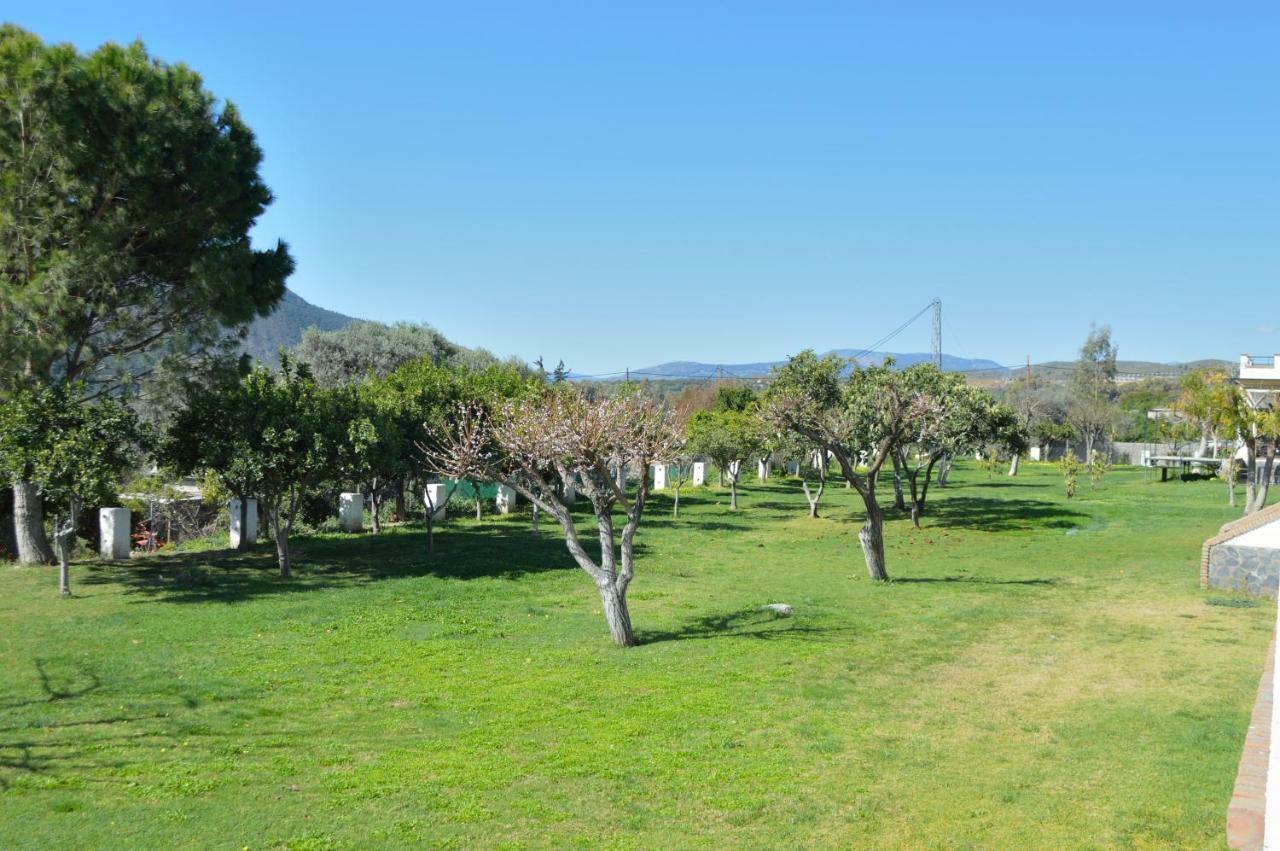 Hotel Taray Botanico Órgiva Kültér fotó